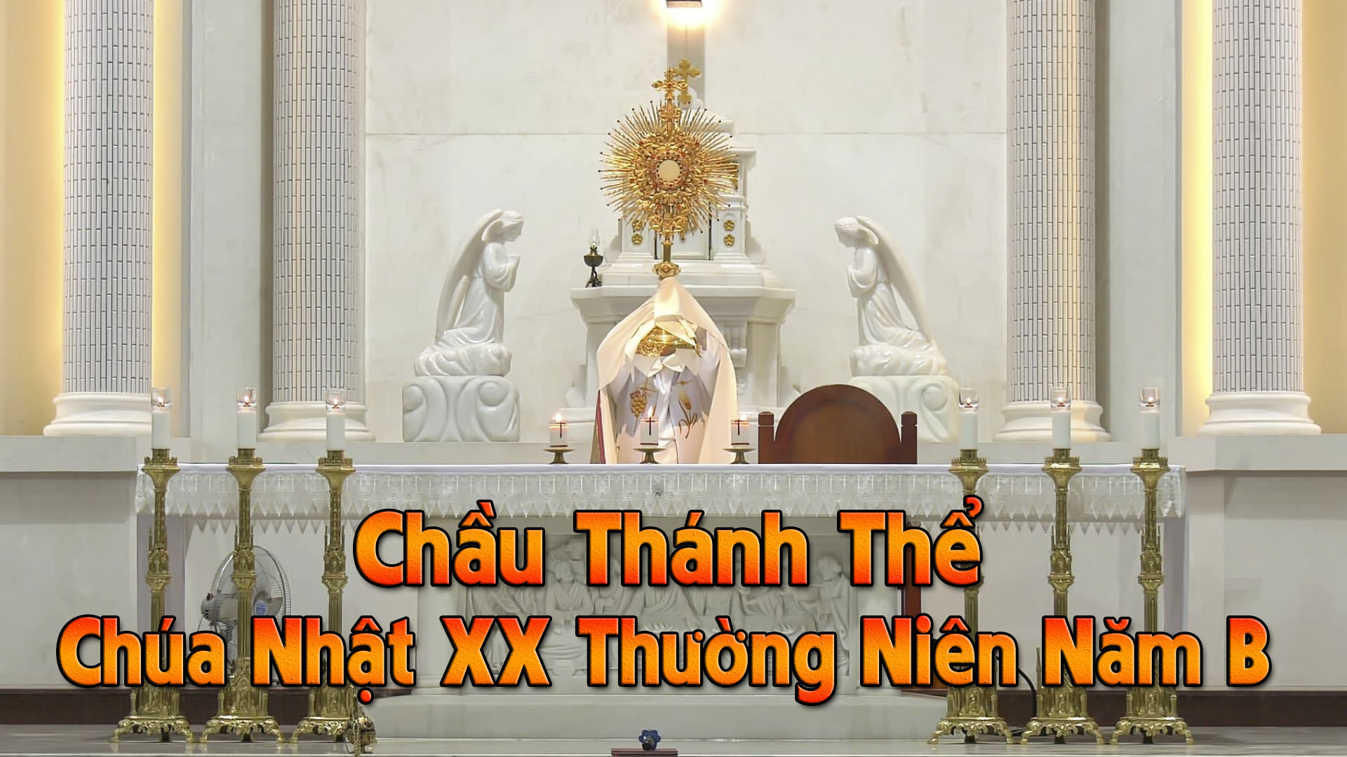 Chầu Thánh Thể - Chúa Nhật XX Thường Niên Năm B